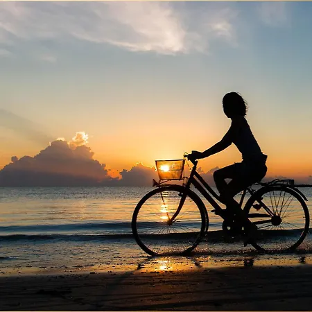 1 아파트 제바트헤링스도르프